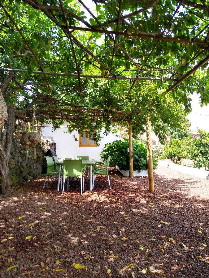 Los Huertos Conect With The Nature & Relax Icod De Los Vinos Extérieur photo