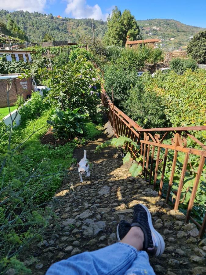 Los Huertos Conect With The Nature & Relax Icod De Los Vinos Extérieur photo